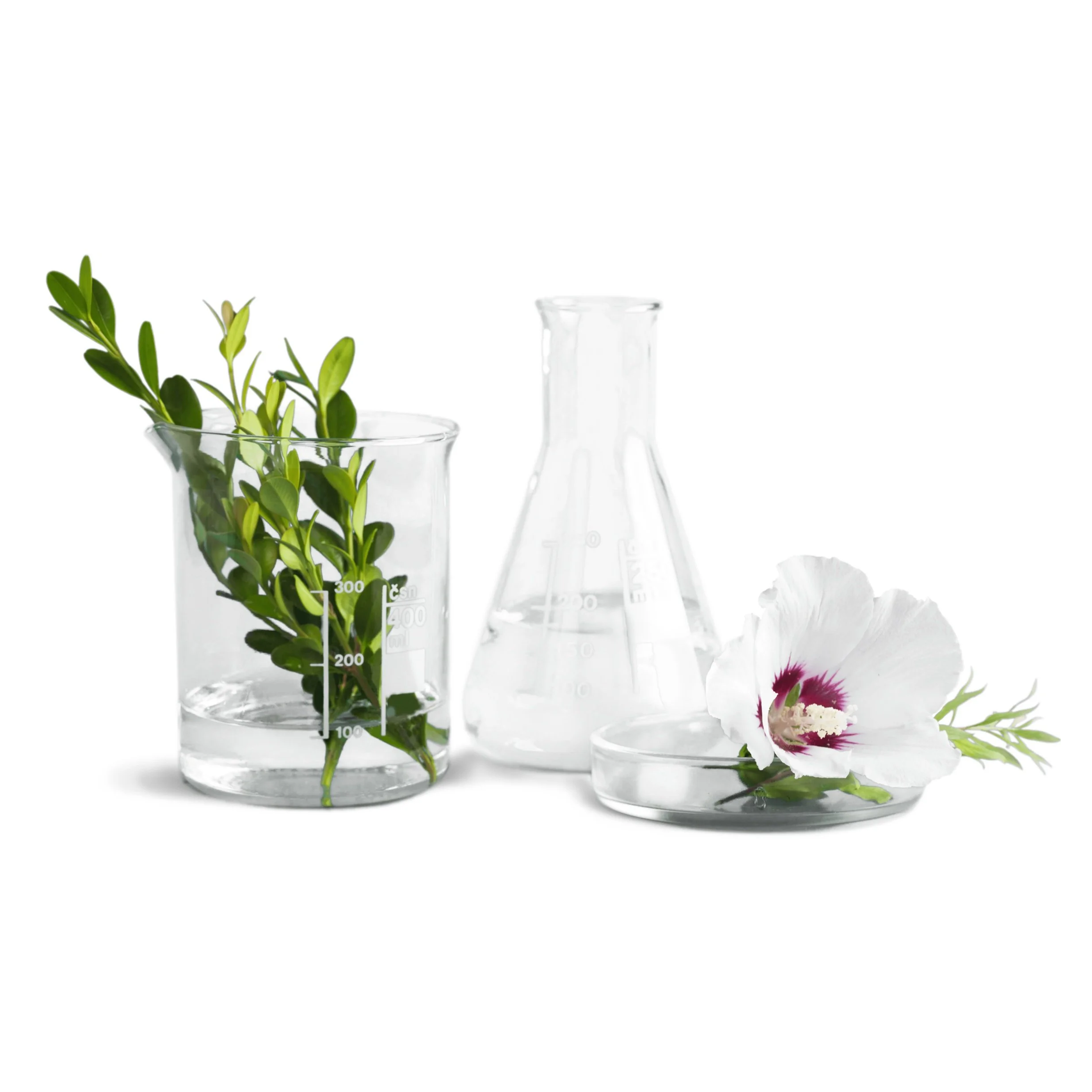 Botanical & Natural Products